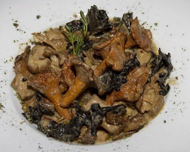 Salteado de setas silvestres con salsa de foieTosta Telero - Restaurante Telero Gandia